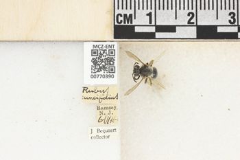 Media type: image;   Entomology 770390 Aspect: Labels